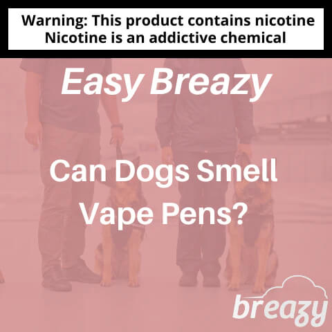 Can-Dogs-Smell-Vape-Pens