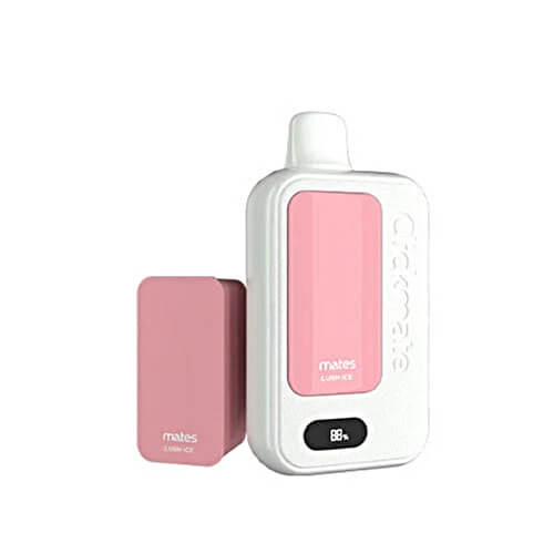 clickmate vape pods 7 Daze Pen Kit 15,000 Puffs Frozen Watermelon Flavor:Banana Melon RAZ Gush Flavors Reviewed